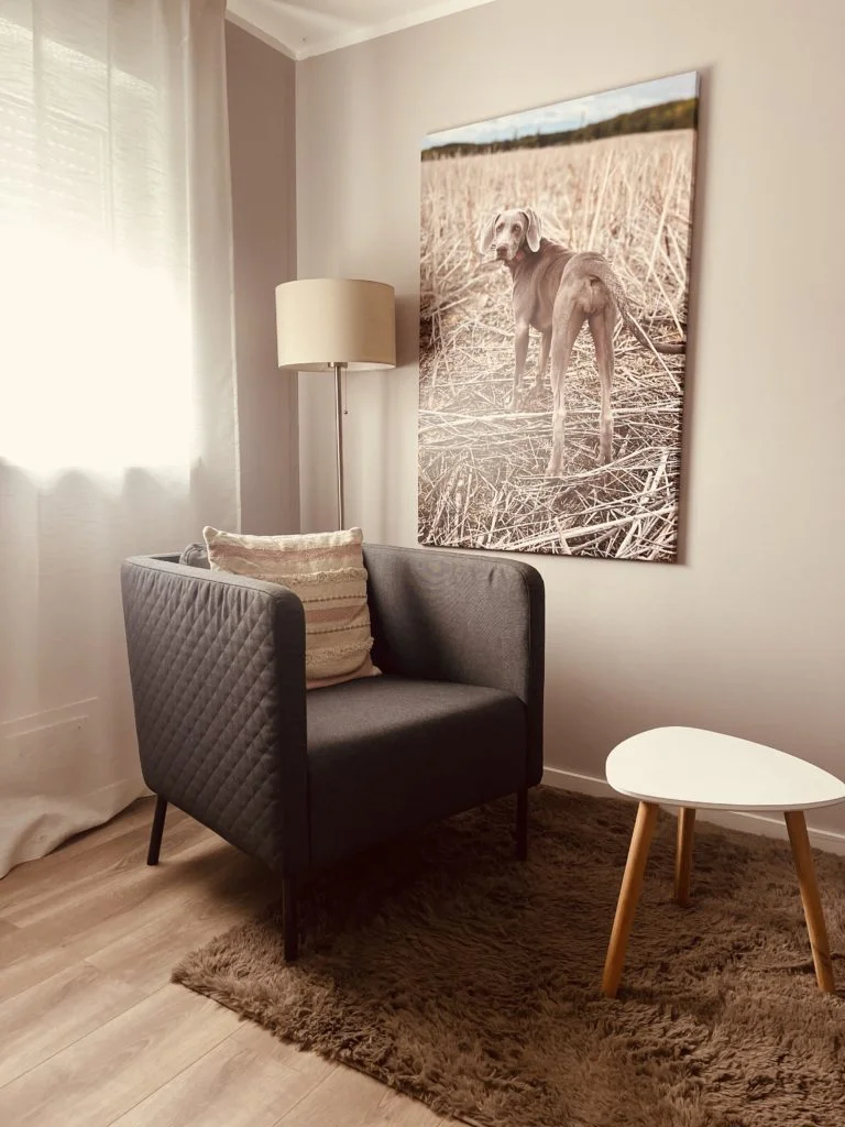 1 1 Coaching Bergheim